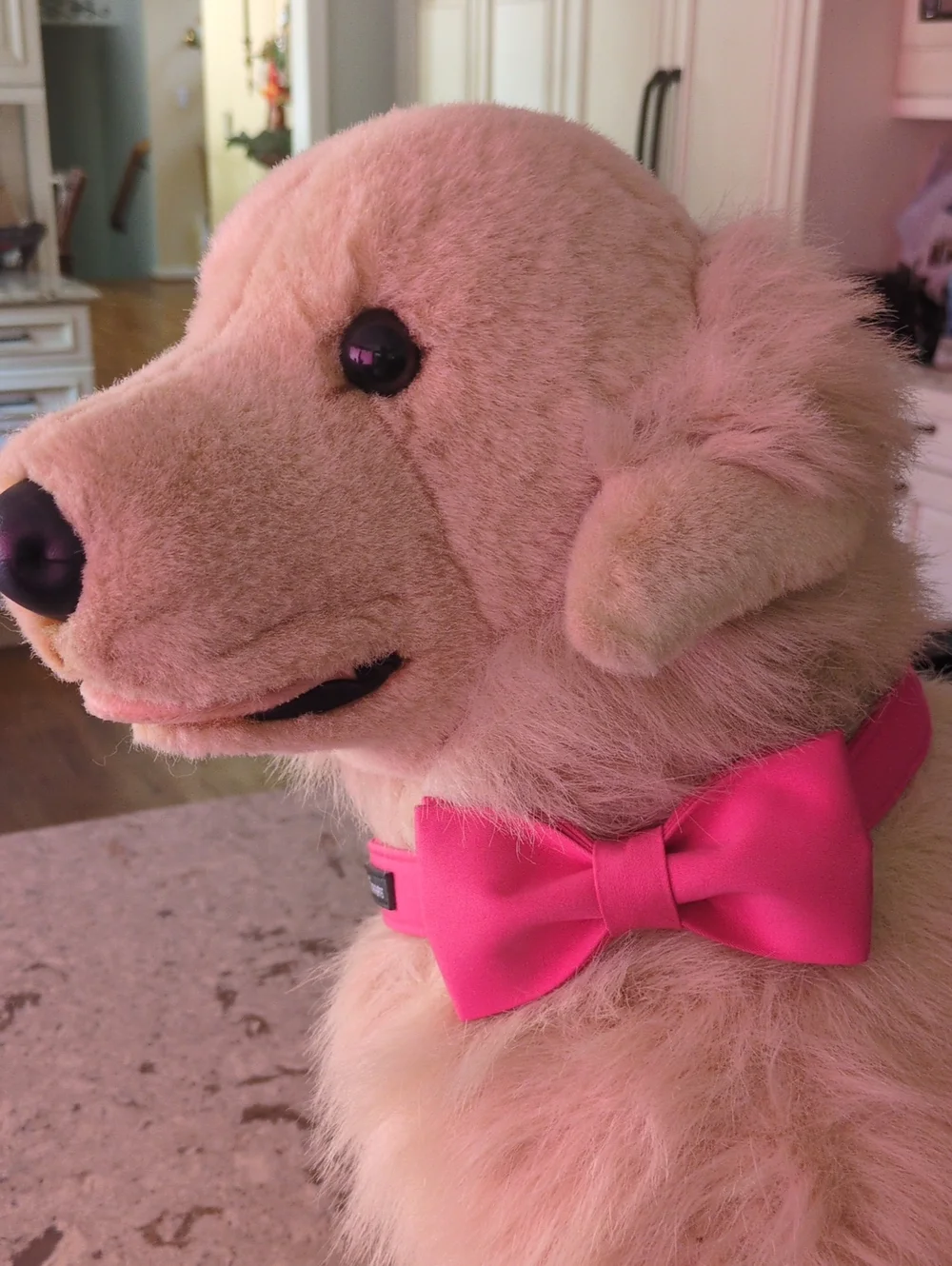 Hot Pink Bow Dog Collar Medium